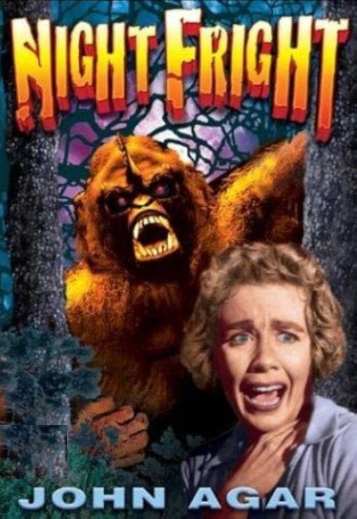 SFT presents Night Fright - Poster